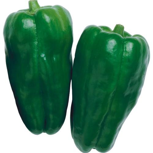 京鈴ピーマン 1000粒 【ピーマン種】【タキイのタネ】【野菜の種