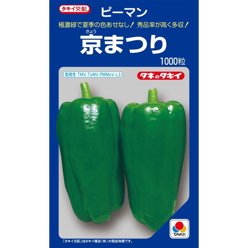 京まつりピーマン 1000粒 【ピーマン種】【タキイのタネ】【野菜の種
