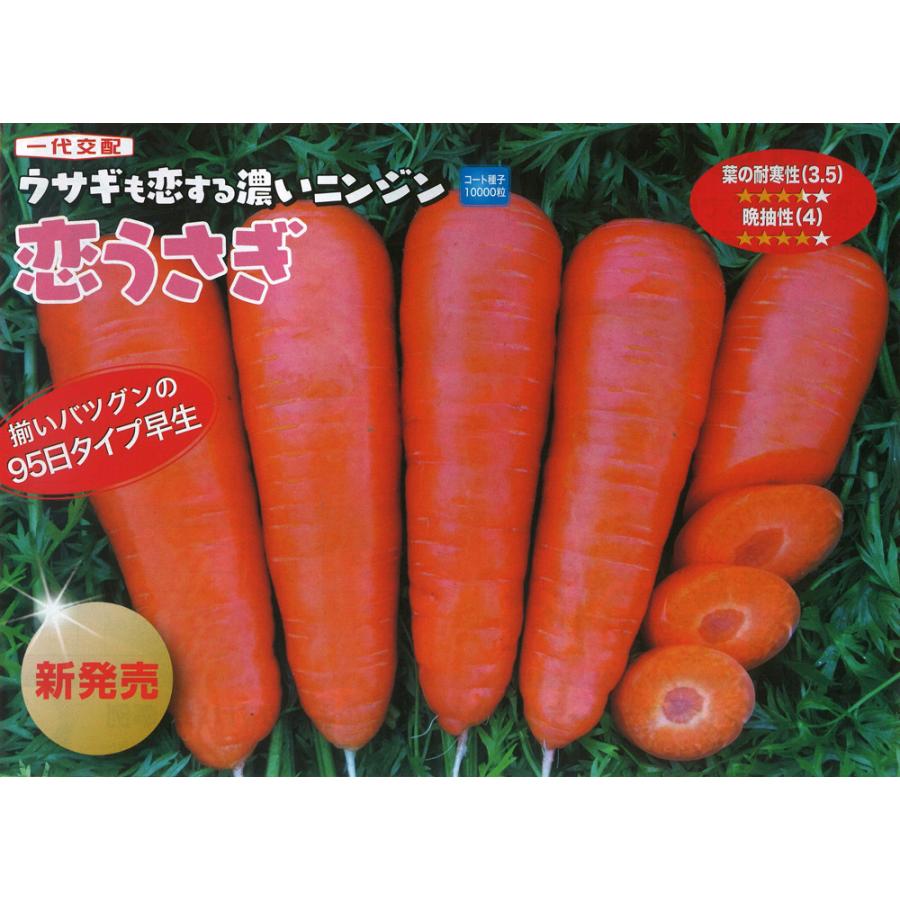 恋うさぎ 人参種子 コート250粒 【ナント交配】 : 吉谷農芸Yahoo!店