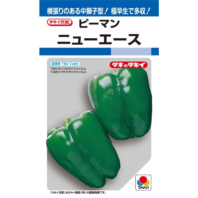 ニューエースピーマン 60粒 【ピーマン種】【タキイのタネ】【野菜の種