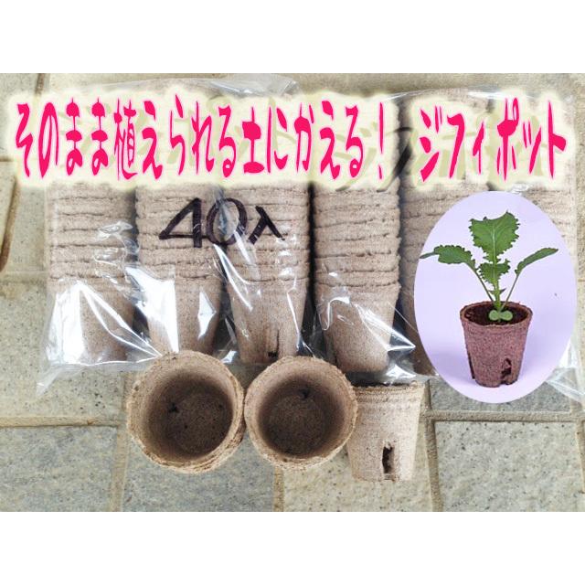 入荷中 サカタのタネ そのまま植えられるエコポット ジフィーポット 丸型5.5cm×40個入 5.5cm サカタのタネ そのまま植えられるエコポット ジフィーポット 丸型5.5cm×40個入 5.5cm