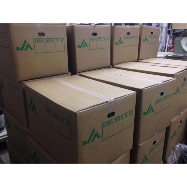 長崎県産 種子用大しょうが 大生姜種 20kg【お徳用】【種生姜 長崎県産 種子用大しょうが 大生姜種 20kg【お徳用】【種生姜