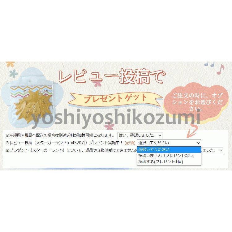 ベッド蚊帳 天蓋カーテン お待たせ モスキートネット キャノピー モスキーノテント スリーピングカーテンお姫様 吊り下げ 円形 オシャレ 子供部屋