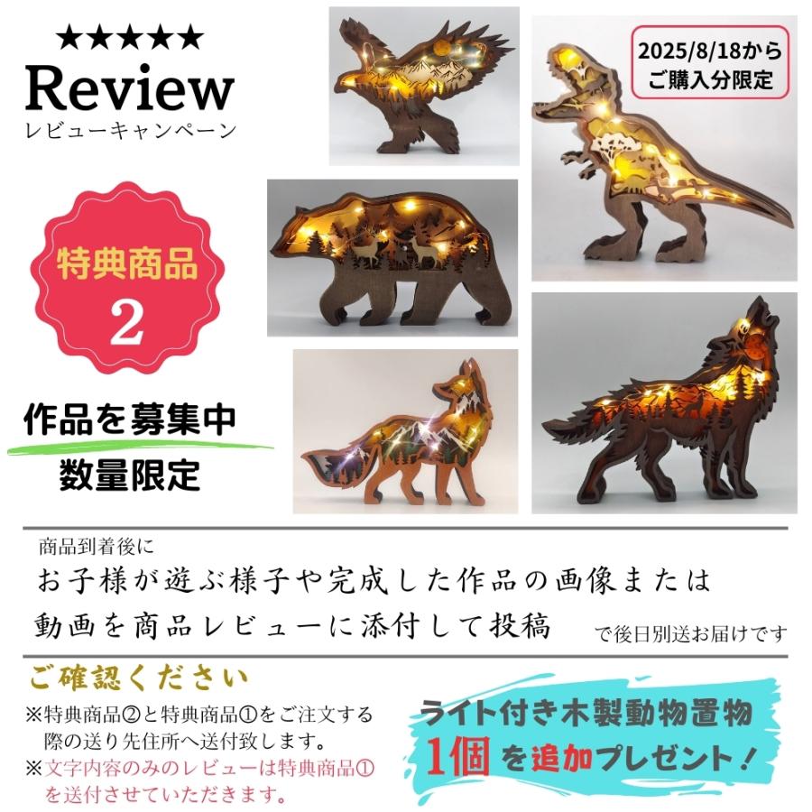 tanoshimu 知育玩具 積み木 おもちゃ ビー玉 転がし ピタゴラスイッチ