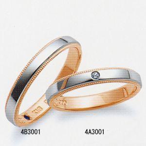 4b3001