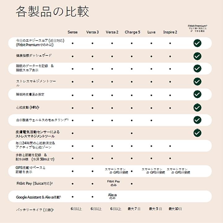 好きに フィットビット Fitbit Charge5 あすつく チャージ5 スチールブルー スマートウォッチ 国内正規品 健康管理トラッカー Gps機能付 スマートウォッチ本体 国内正規品 1年保証 Kisa Mit Edu