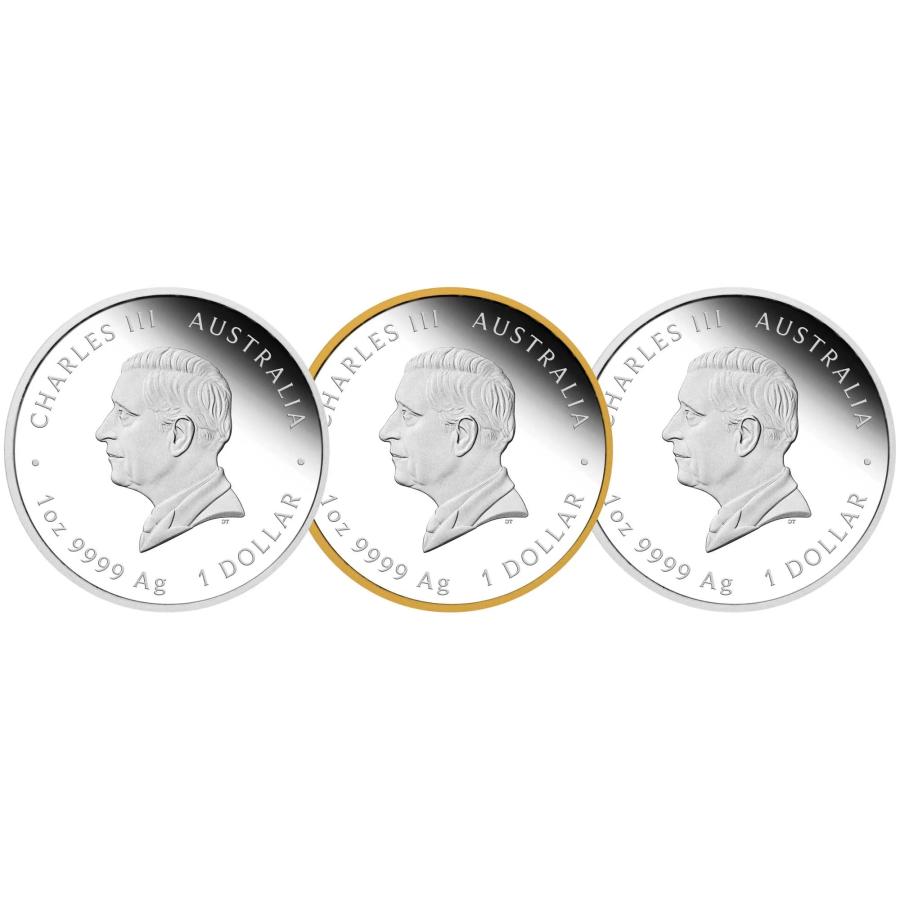 エリザベス２世（女王）　生誕１００周年記念コイン 1oz銀貨　３種セット 世界限定2000セット ナンバー1626の画像