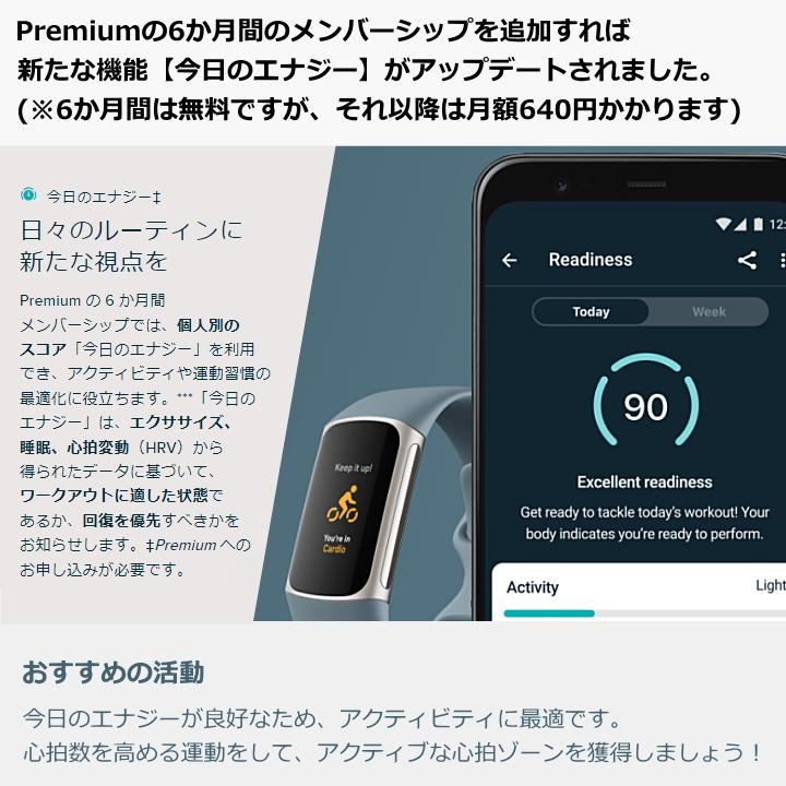 Google Fitbit あすつく fitbit inspire 2 フィットビット