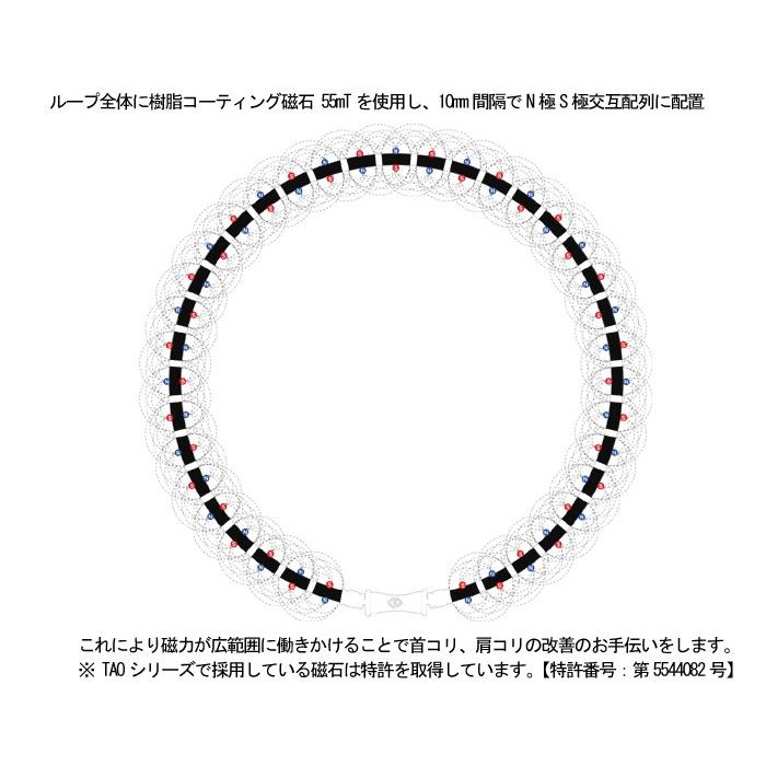 ColanTotte（コラントッテ） TAO ネックレス ラフィ ブラック/シルバー