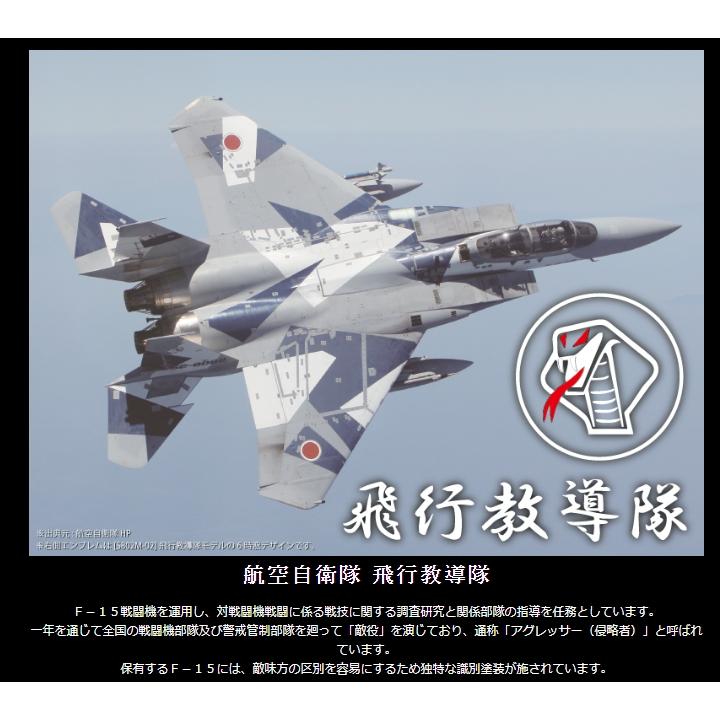 KENTEX（ケンテックス） JSDF ソーラープロ 飛行教導群モデル[S802M-02