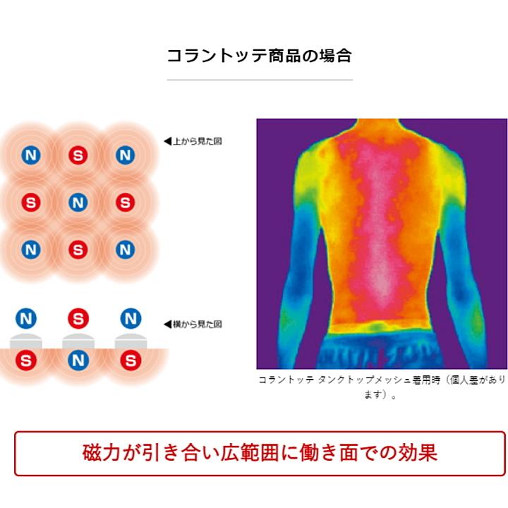 Colantotte コラントッテ TAO ネックレスα VEGA NEXT ベガ ネクスト【クラシックゴールド】 【Ｍ・L・LLサイズ】正規品｜yosii-bungu｜13