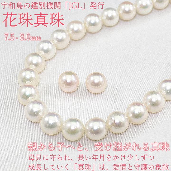 【美品】あこやパール ネックレス K14 あこや真珠 希少大珠✨MIKIMOTO K14 あこやパールネックレス 8.1-8.6mm - メルカリ