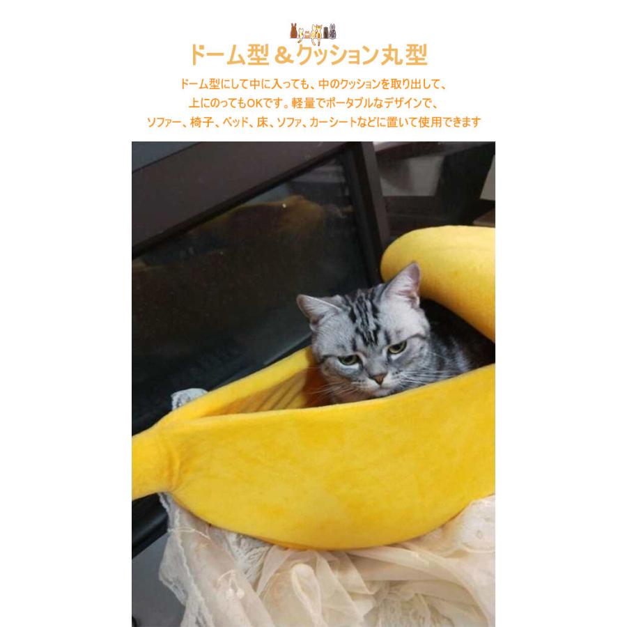 コタツねこ様専用☆L5.0kg+規格外2.0kg + バナナ パッション