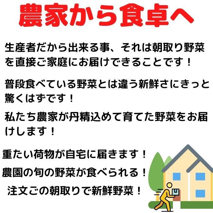 送料無料 有機栽培 無農薬 有機野菜6〜8品セット :0001:吉本ファーム - 通販 - Yahoo!ショッピング 送料無料 有機栽培 無農薬 有機野菜6〜8品セット :0001:吉本ファーム - 通販 - Yahoo!ショッピング