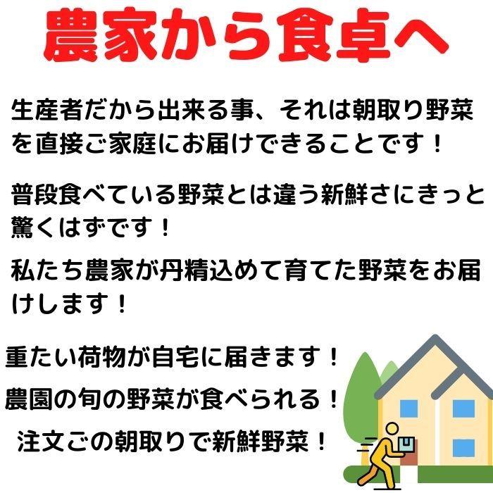 野菜セット6〜8品セット 送料無料 有機栽培｜yosimoto-farm｜02