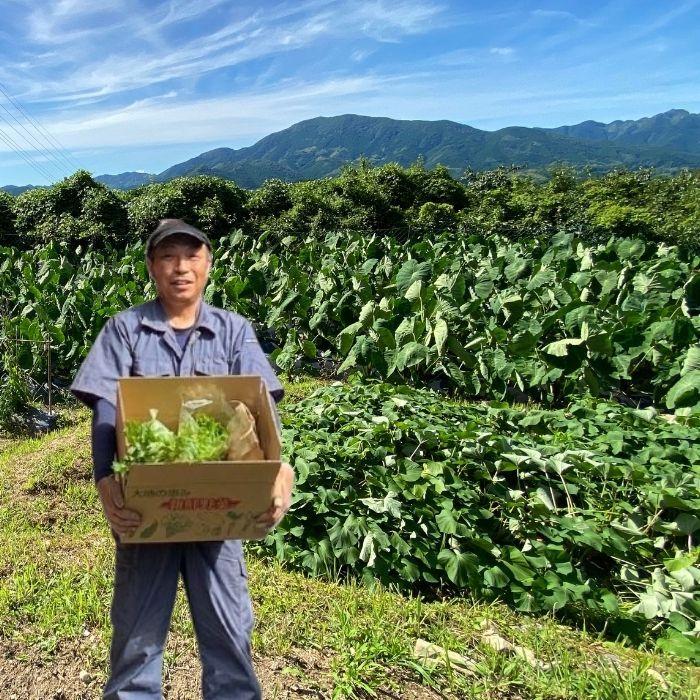 有機野菜＋米3kgセット 送料無料 有機栽培 無農薬｜yosimoto-farm｜07