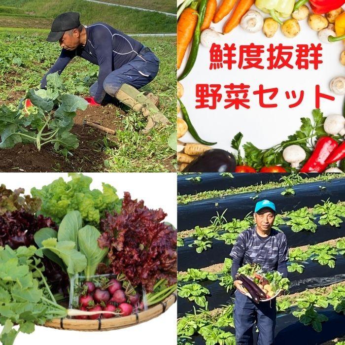 お試し有機野菜4〜6品セット 送料無料 有機栽培 無農薬｜yosimoto-farm｜04