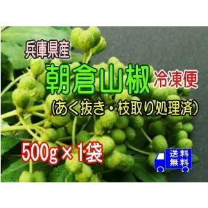 兵庫県産朝倉山椒（プレミアム山椒）冷凍　あく抜き・枝取り処理済み  500g×1袋  送料無料  冷凍便でお届け 北海道・沖縄離島別途送料
