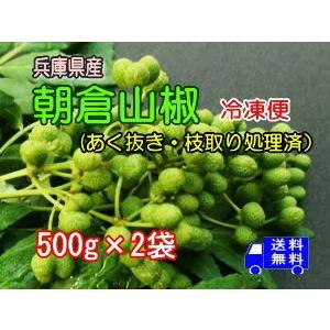 冷凍 兵庫県産朝倉山椒 あく抜き・枝取り処理済み 500g×2袋 クール便でお届け