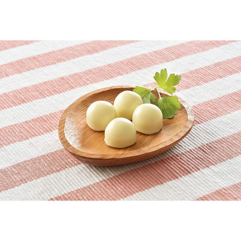 人気ショップが最安値挑戦 花畑牧場 ひとくち生モッツァレラ プレーン 24g 12個セット 冷蔵配送 メーカー包装済 Www Aqtsolutions Com