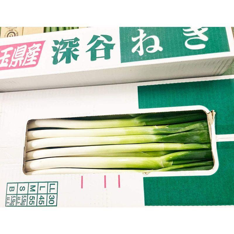 最大91%OFFクーポン 国産 長ねぎ 15kg 3箱入 白ネギ 業務用 M?2Lサイズ 関東地方産地 埼玉 茨城 群馬県産 配送日時指定可 最大91%OFFクーポン 国産 長ねぎ 15kg 3箱入 白ネギ 業務用 M?2Lサイズ 関東地方産地 埼玉 茨城 群馬県産 配送日時指定可