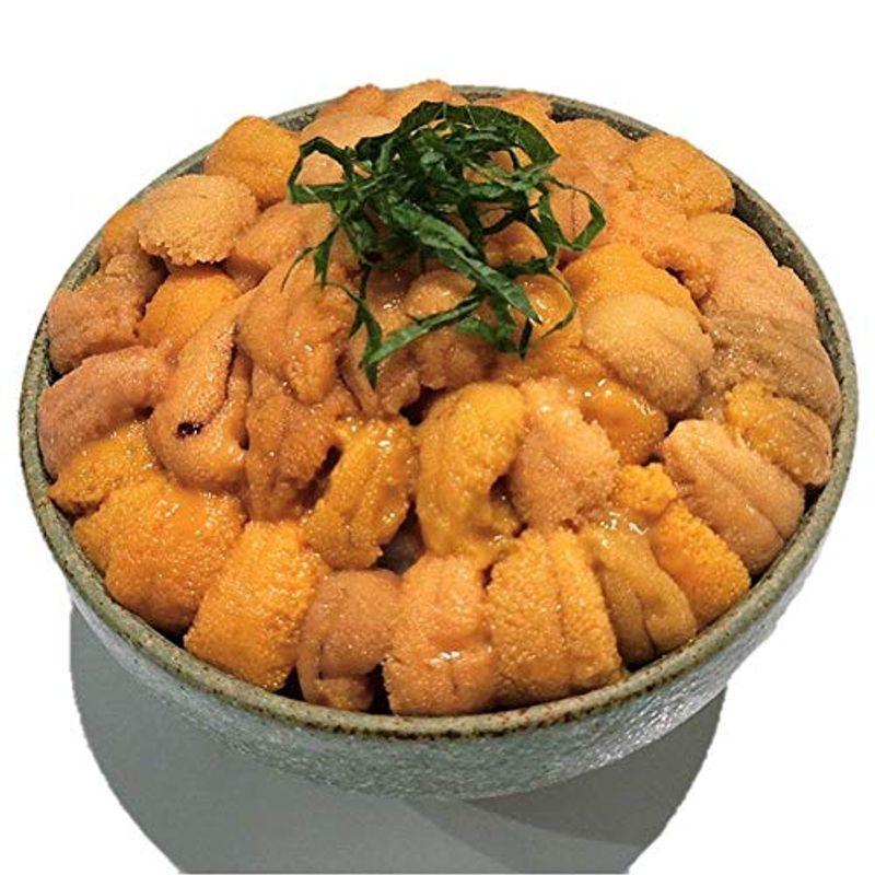北海道産蝦夷バフンウニ100ｇ 2蝦夷バフンウニ 塩水ウニ100ｇ 2パック 計0g 大容量 生うに ウニ ばふんうに バフンウニ