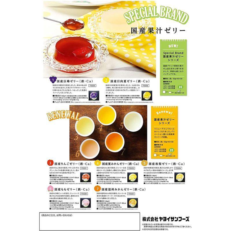 学校給食 国産レモンゼリー(鉄分・カルシウム強化) 50G×40個入 冷凍 PC5fZKCbQa, ゼリー - vpconsultoriaimobiliaria.com.br 学校給食 国産レモンゼリー(鉄分・カルシウム強化) 50G×40個入 冷凍 PC5fZKCbQa, ゼリー - vpconsultoriaimobiliaria.com.br