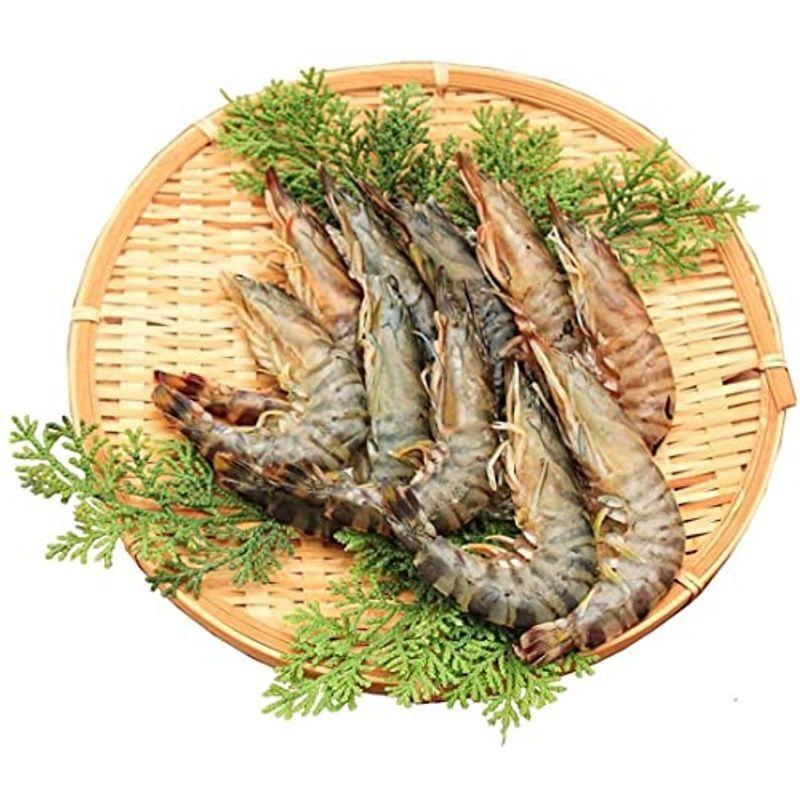 はやと冷凍車海老 海老 隼人車えび 加熱用 甘エビ 冷凍 1000g 車海老 車エビ くるまえび 冷凍 鹿児島県産 ならショッピング ランキングや口コミも豊富なネット通販 更にお得なpaypay残高も スマホアプリも充実で毎日どこからでも気になる商品を