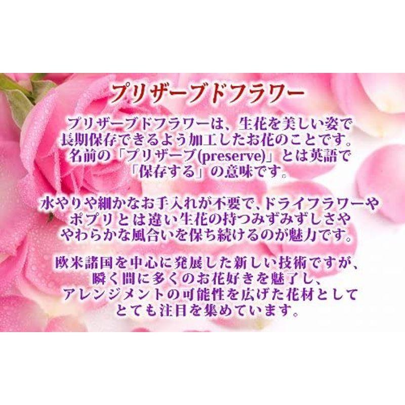 プリザーブドフラワー ボトルフラワー ラン バラ ミックス 大 P Lsr 2 フラワーギフト プレゼント 誕生日 結婚祝 ならショッピング ランキングや口コミも豊富なネット通販 更にお得なpaypay残高も スマホアプリも充実で毎日どこからでも気になる
