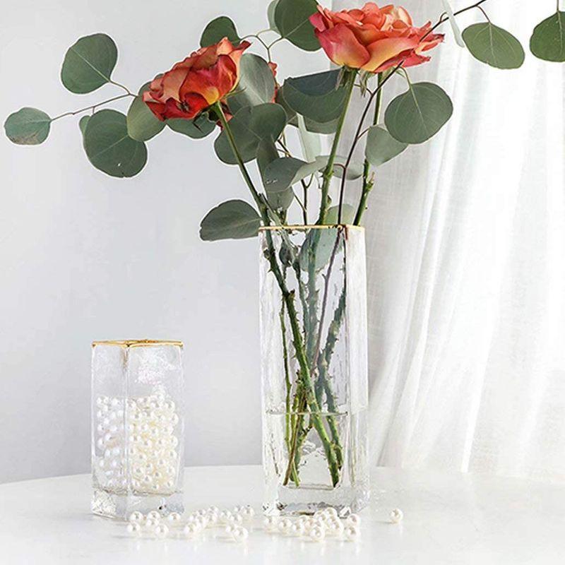 花 ガーデニング 安心 保証 花瓶 ガラス おしゃれ フラワーベース 透明 広口 北欧 かびん 花器 大 シンプル 水耕栽培生け花 インテリア 高級感 花飾り インテリア Y5dk0fv1di Www Robertgillow Co Uk