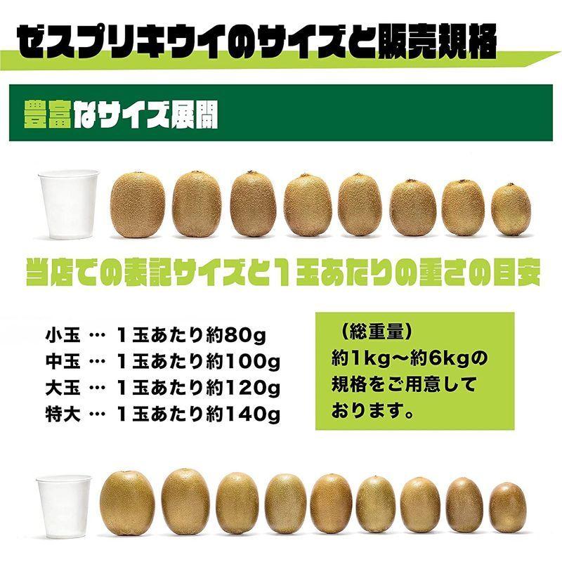 新発売の キウイフルーツ5kg 国産 無農薬 nerima-idc.or.jp