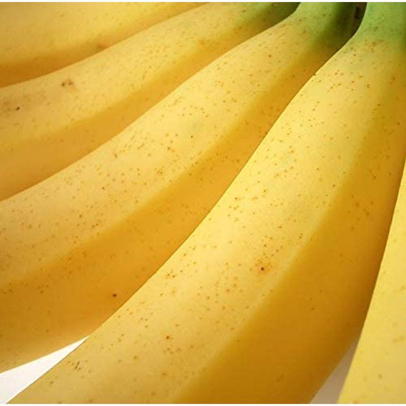 南国フルーツ フィリピン産バナナ 甘熟王ゴールドプレミアムバナナ 当店限定販売 3袋