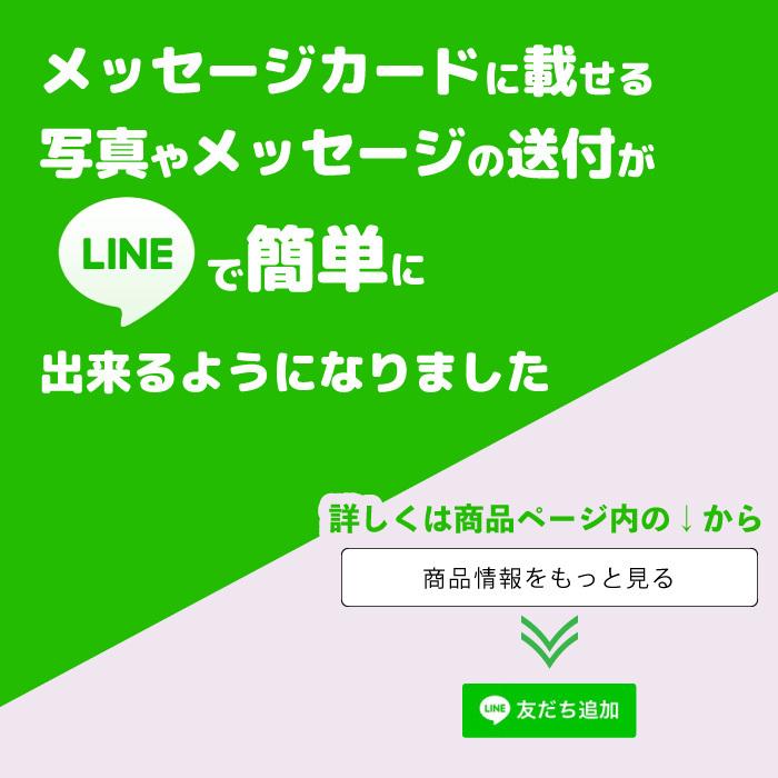 送料無料 グルメ カタログギフト お中元 Gourmet ＜BG024 ナヴィエ＞ 内祝い お返し 写真カード 写真 母の日 父の日｜yosizen-gift｜06