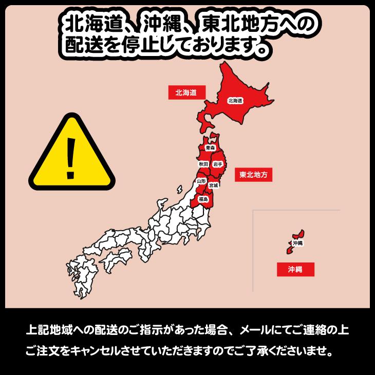 国産 シダ 箒 ほうき 長柄 5玉 国産 オシャレ 和歌山 伝統工芸 掃除 エコ SDGs 日本製 お返し 写真カード 写真 お中元 お中元｜yosizen-gift｜05