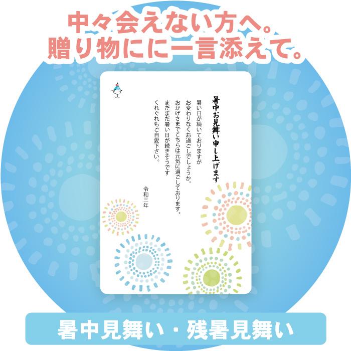 激安通販の お中元 送料無料 味噌汁 ギフト Kgp 050m 極だし 海鮮の具入り 入学祝い お返し 写真付き メッセージカード 可愛い Rmladv Com Br