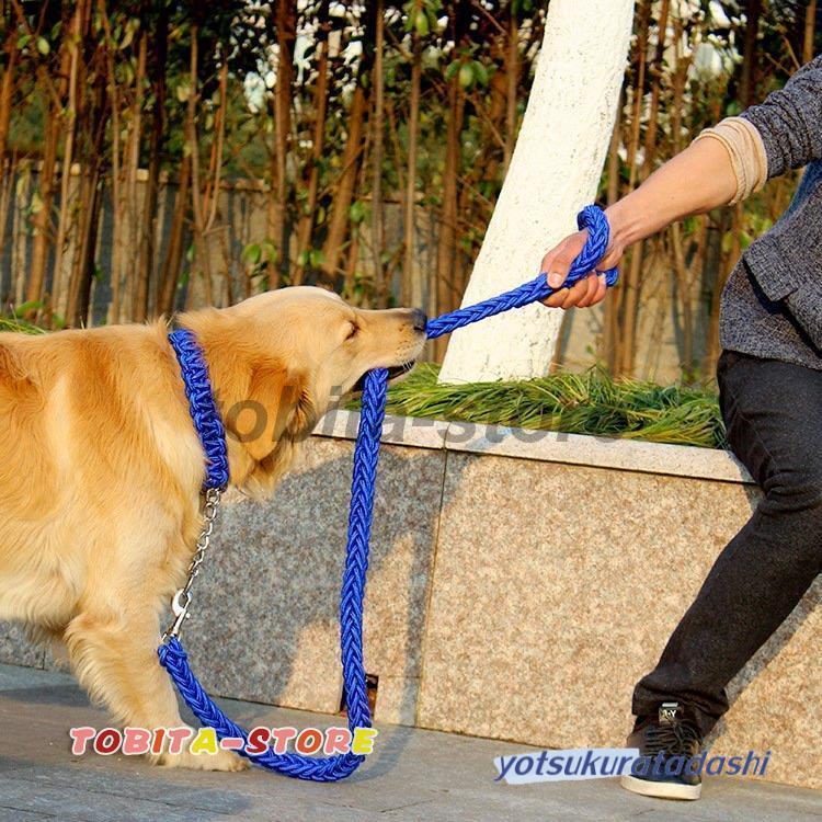 首輪 リード 2点セット 犬用 ペット用 ハーフチョーク リーシュ 1.2m