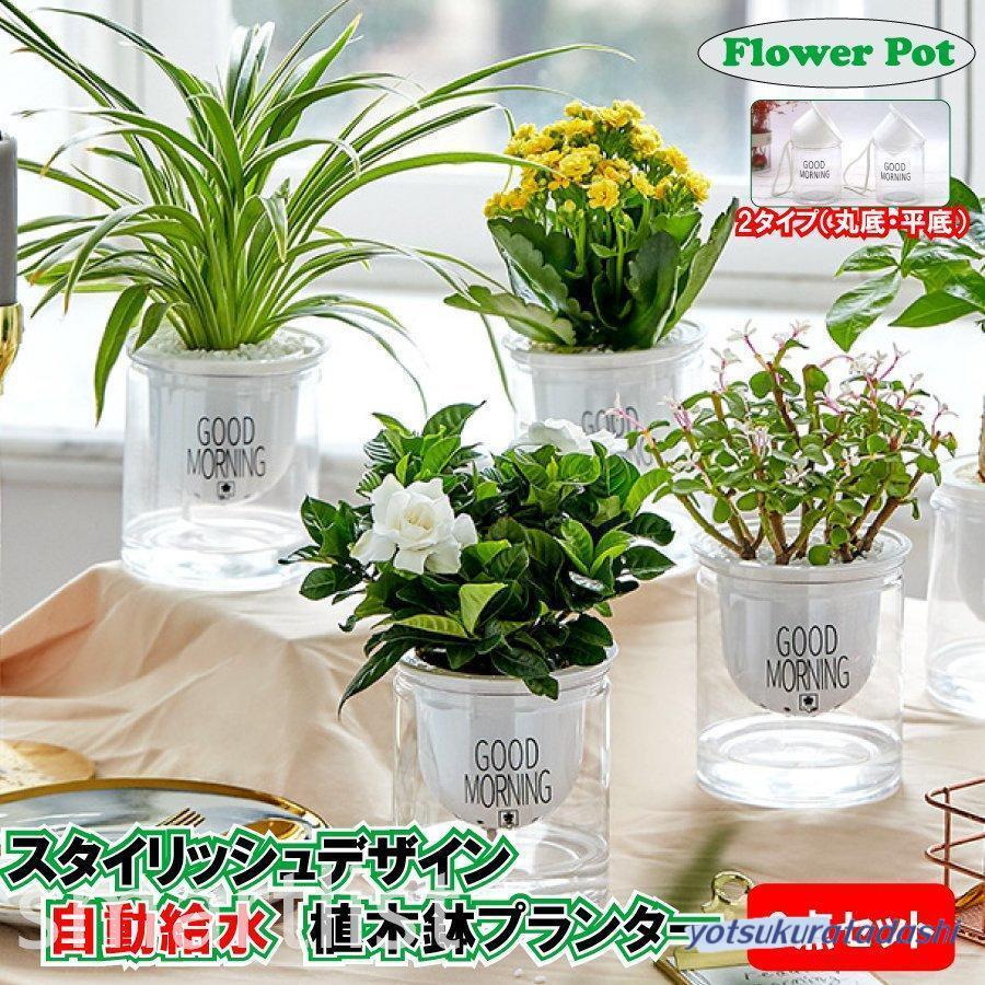 3個セット 自動給水 プランター おしゃれ 家庭菜園 水やり : 四倉忠