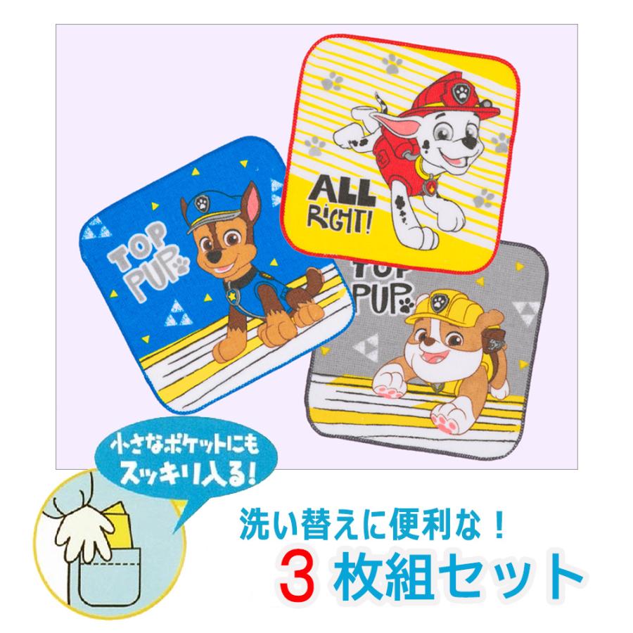 ミニタオル プチタオル3枚組セット 16×16cm ポケモン プラレール