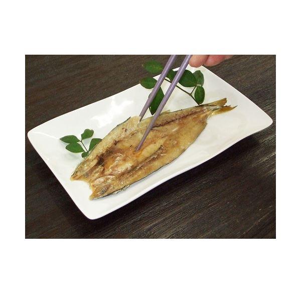 第1位獲得 まるごとくん かますのひもの 10枚 超人気の Www Muslimaidusa Org