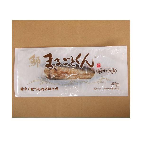 第1位獲得 まるごとくん かますのひもの 10枚 超人気の Www Muslimaidusa Org