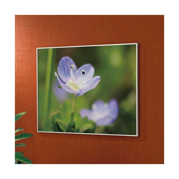 22人気の まとめ アートプリントジャパン スタイリッシュパネル A1 外寸846 599mm 1枚 5セット パーテーション 衝立 Folliq4 Com