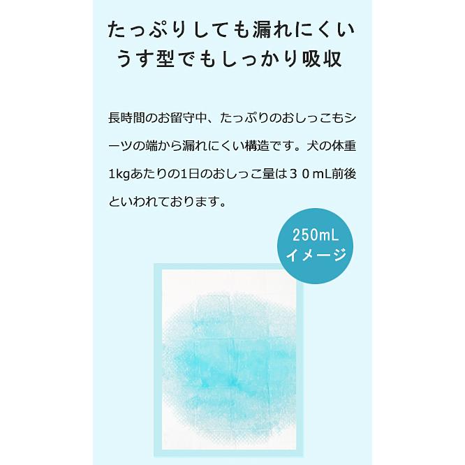 【期間限定価格】ペットシーツ　犬用　うす型　サイズが選べる 　 レギュラーサイズ800枚／100枚入×8袋・ワイドサイズ400枚／50枚×8袋｜you2han｜08