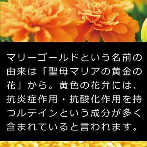 POLA アロマエッセ ゴールド aroma ess.GOLD コンディショナー 10L 業務用 送料無料 【沖縄・離島は別途送料】|you2han|04