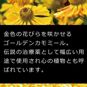 POLA アロマエッセ ゴールド aroma ess.GOLD コンディショナー 10L 業務用 送料無料 【沖縄・離島は別途送料】|you2han|06