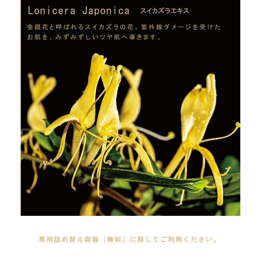 安い購入 Pola アロマエッセ ゴールド スキンケア化粧品フルセット １lｘ6種類セット 送料無料 沖縄 離島は別途送料 60 Off Www Tecbios Com