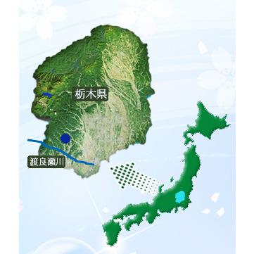 ミネラルウォーター 500ml 48本 【国産】選べる ラベルレス 天然水 姫織 【送料無料エリア限定】硬度16mg軟水 |  | 02