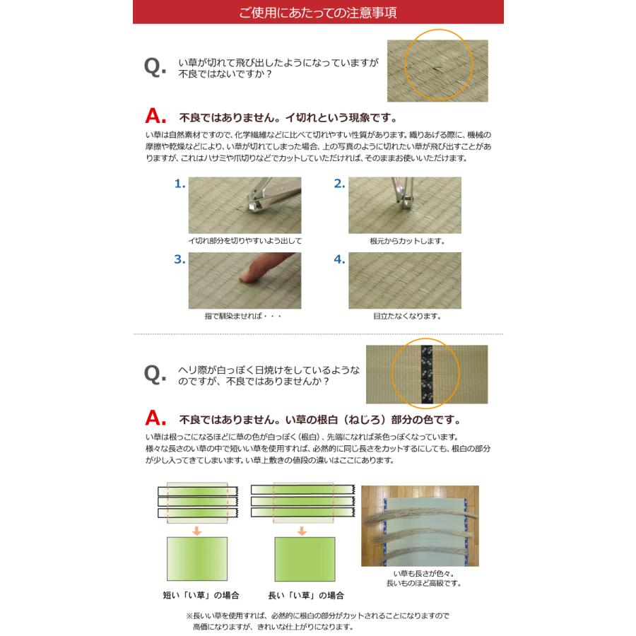 い草 シーツ マット イ草 ラグ 敷き畳 ごろ寝マット(Y) 約 87×200cm 和モダン 防かび 抗菌 両面使える 青葉 双目 お昼寝 アジアン｜youai｜08