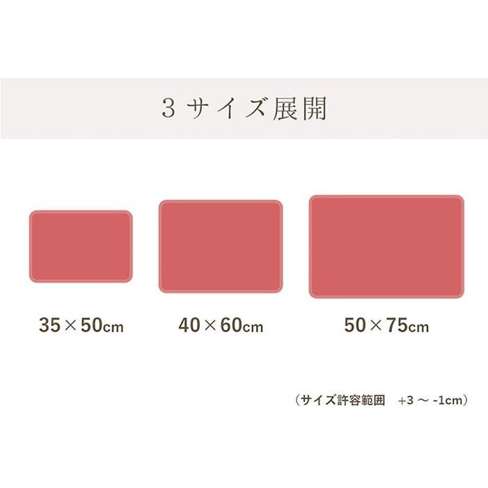 速乾 バスマット 洗える 洗濯機OK 吸水性抜群 タオル地風 吸水力 さらさら 裏面メッシュ 脱衣所 約40×60cm 足元さらっと(I) 引っ越し 新生活｜youai｜11