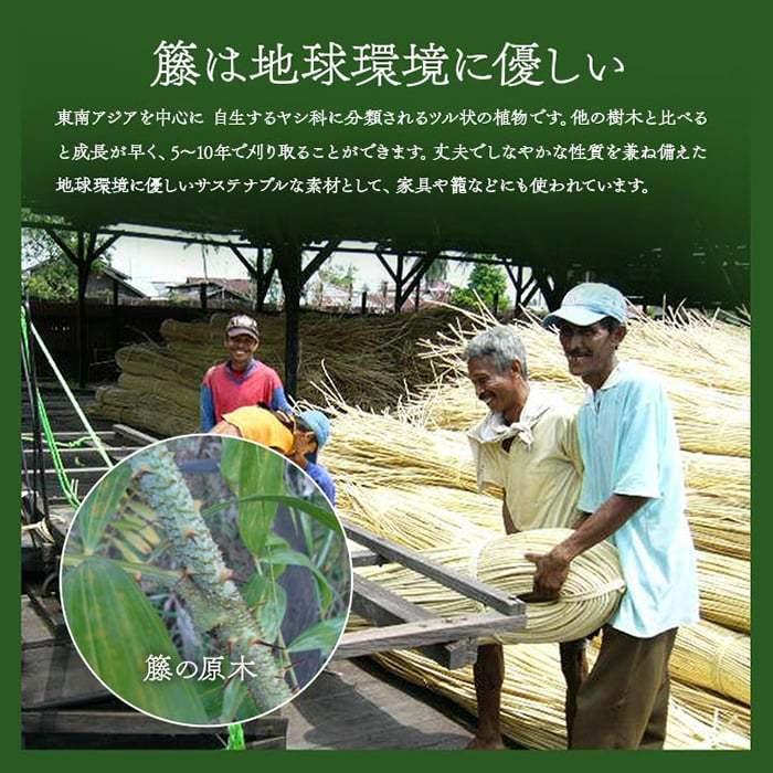 マット リビングラグ ラタン アジアン 籐マット ラグ 籐むしろ 夏用 冷感 ひんやり 滑り止め 天然素材 キッチン インドネシア製 約80×150cm ジャワ 籐 (I) 爆買 | イケヒコ | 10
