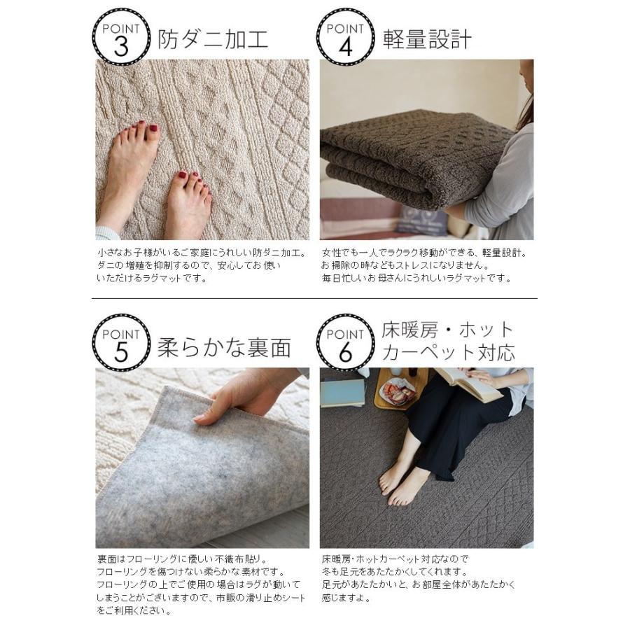 スミノエ 日本製ラグ ウォッシャブル 洗える 防ダニ加工 ホット